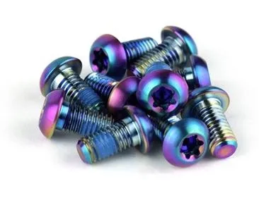 SRAM Titan Rotor Bolt Kit 12 stk Titan, Rainbow farge