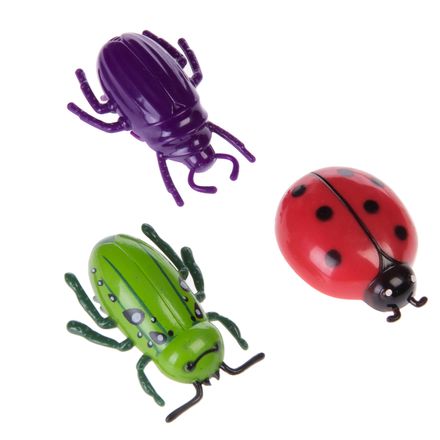 Insect Cat Toys - 3-Piece Set