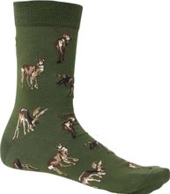 Chevalier Pomeroy Sock Rifle Green Deer Friluftssokker 37/39