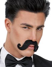 Stor Svart Snurrebart