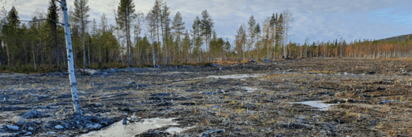 VD-intervju med Thomas Söderqvist