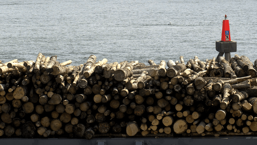 Timmer trä frakt hav stockar trästockar träindustri