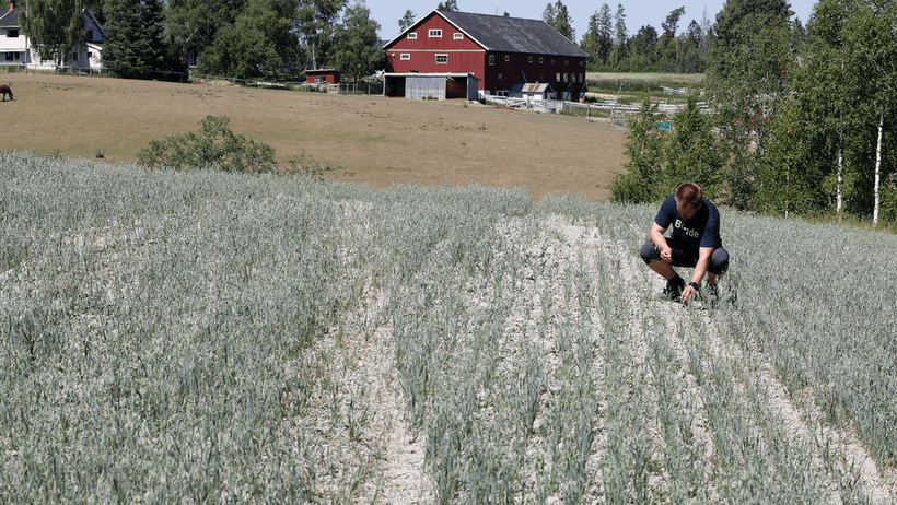 Lantbruk åker torka 