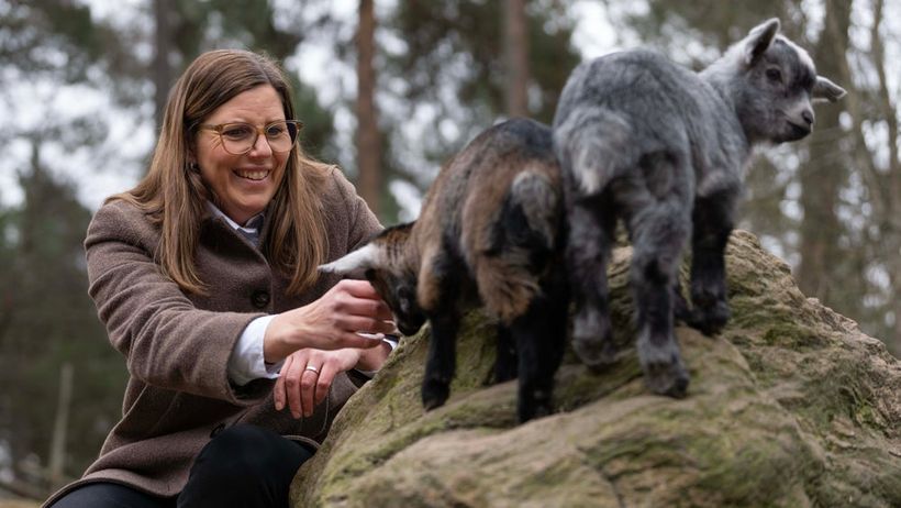 Jeanette Sandberg, vd Kolmårdens djurpark