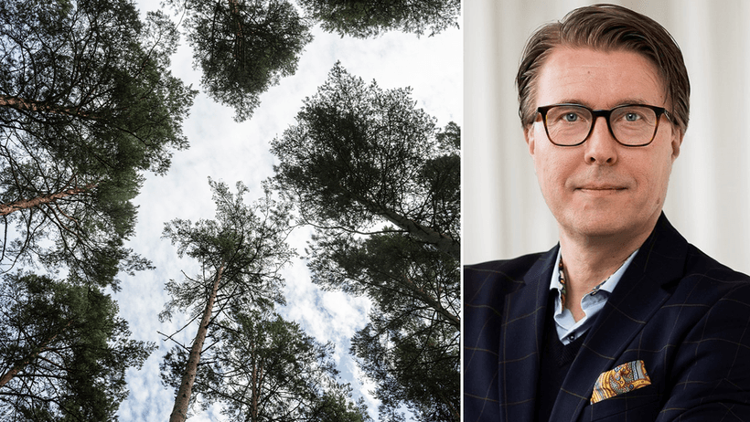 Skogsaffärer ökar – men fler ser risker: ”Blir en tankeväckare” 