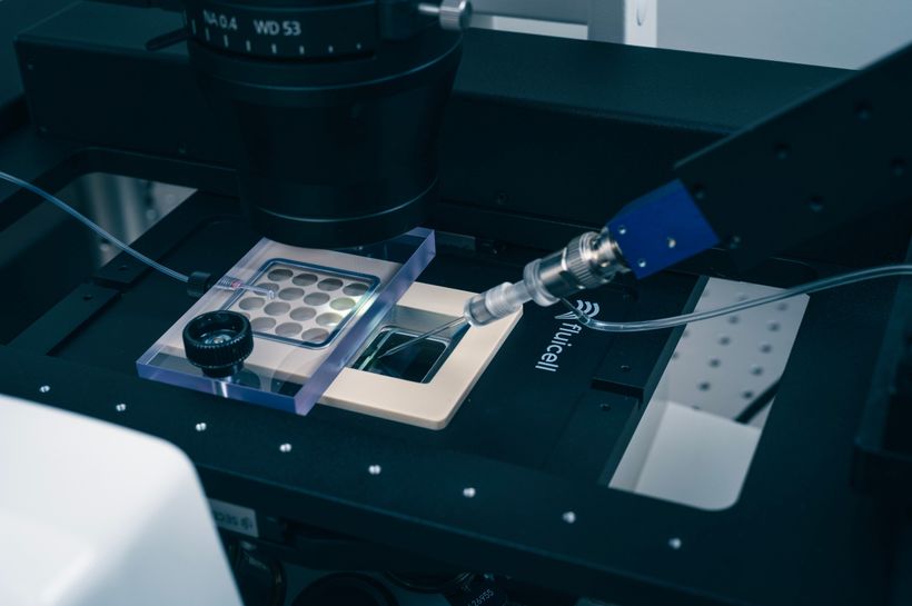 FLUICELL: EBITDA -1,7 MLN KR 4 KV