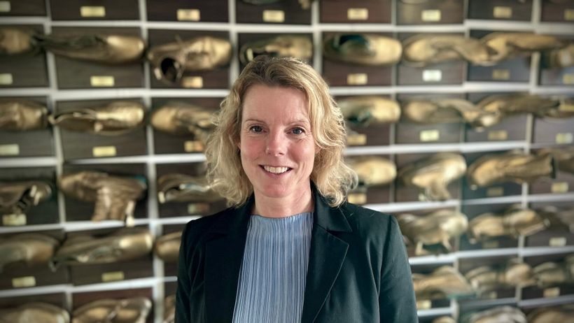 Catharina Sandberg, vd Lead i Linköping