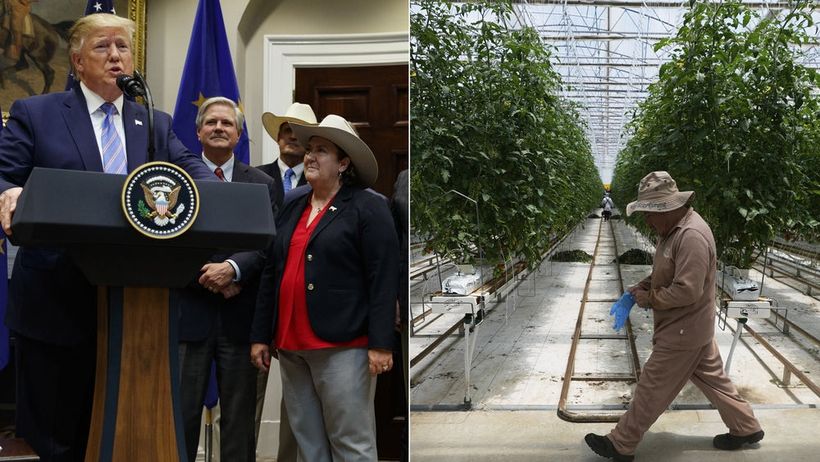 tullar kött tomater