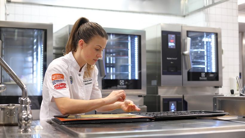 Electrolux Professional