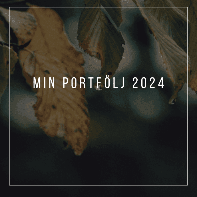 Min Portfölj 2024