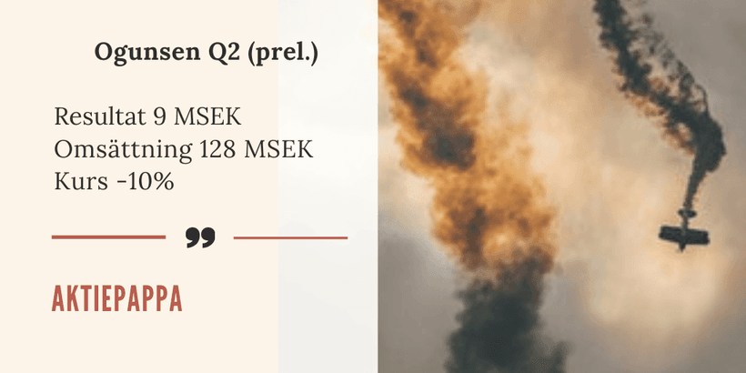 Ogunsen Vinstvarning