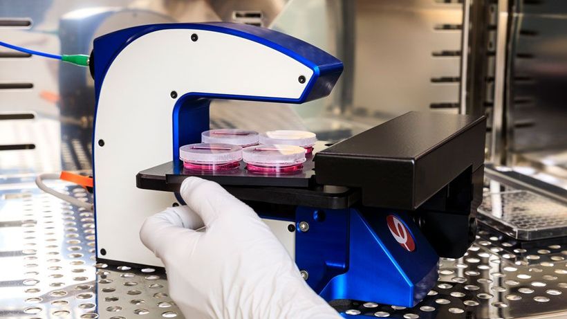 PHASE HOLOGRAPHIC: HELÅRSOMSÄTTNINGEN PRELIMINÄRT LÄGRE ÄN PROGNOS (NY)