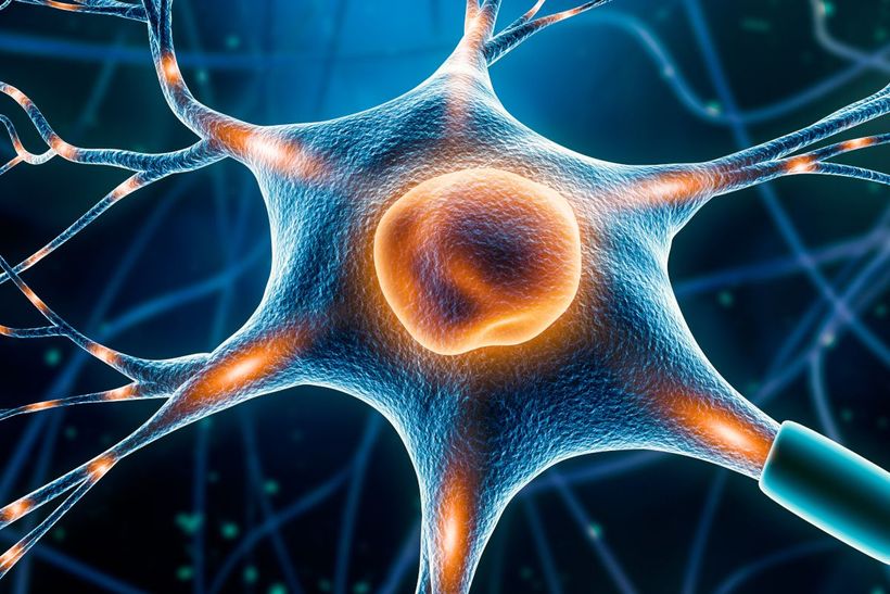 PharmNovo lindring av nervsmärta