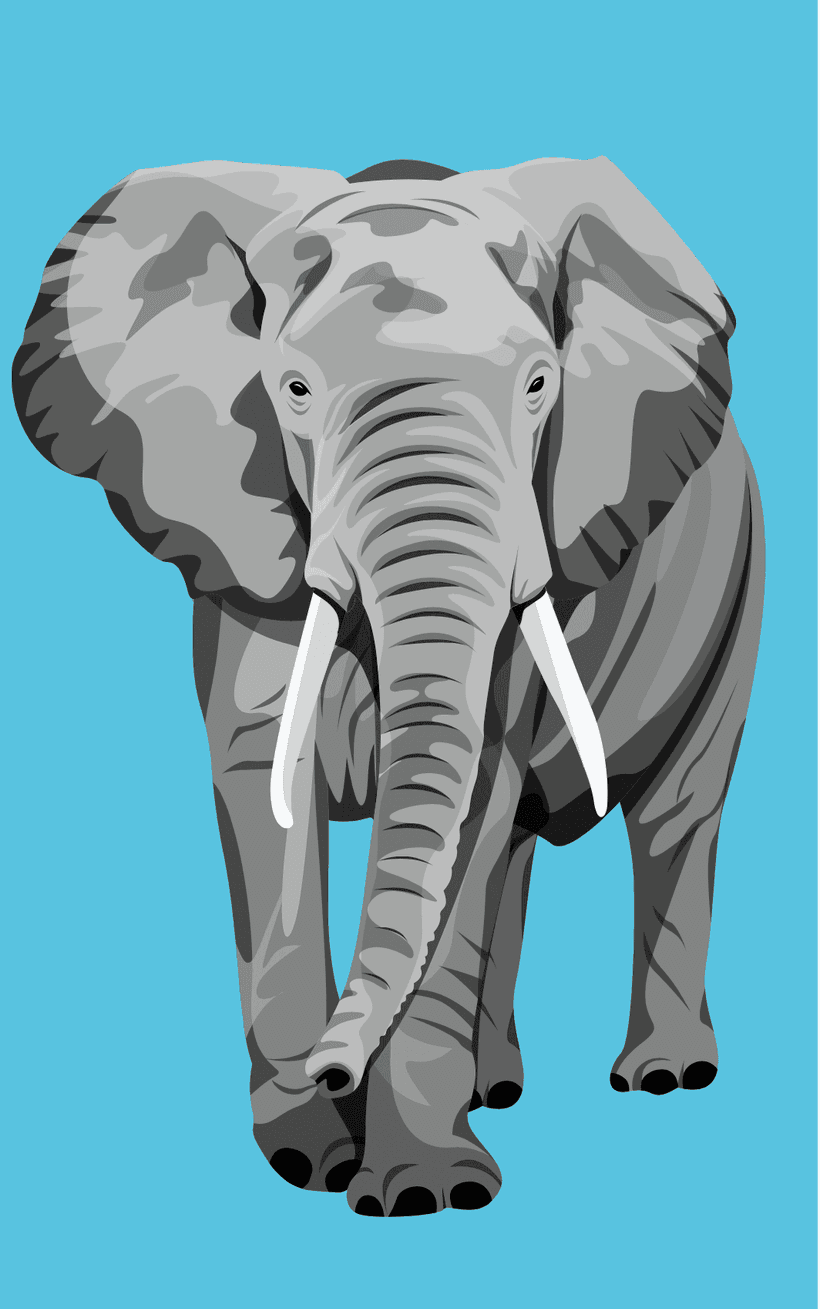 Elefant
