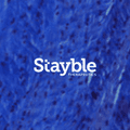 Stayble Therapeutics
