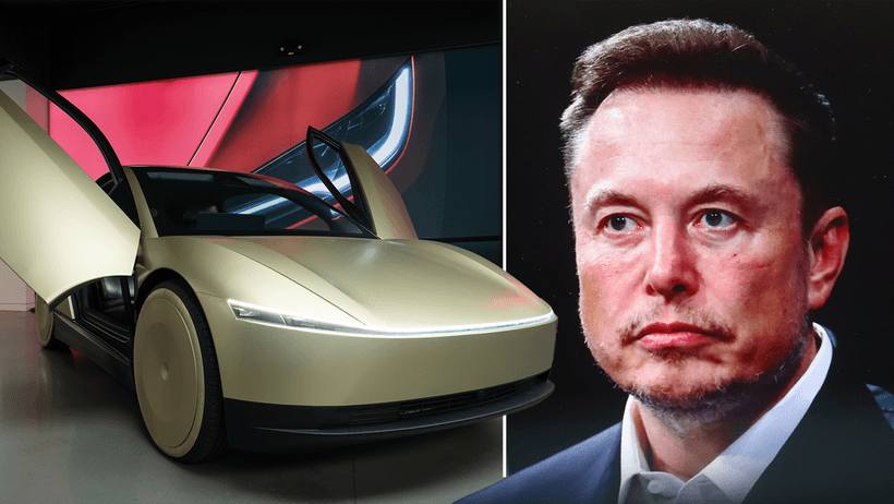 Elon Musk tesla Robotaxi