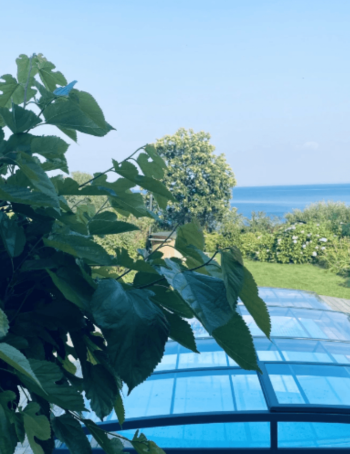 Gullberg & Jansson: Rapportkommentar Q4’25