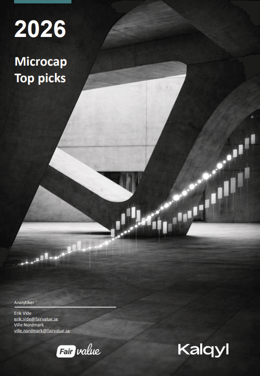 Microcap Top Picks 2026