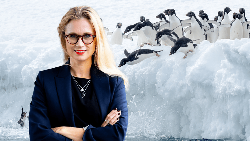 Pingvineffekten: Framtiden tillhör den som vågar hoppa först