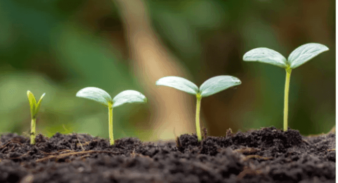 Brock Milton Capital