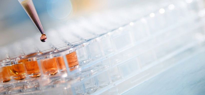 CANTARGIA: FINANSIERADE VÄL ÖVER TVÅ ÅR - VD (NY)