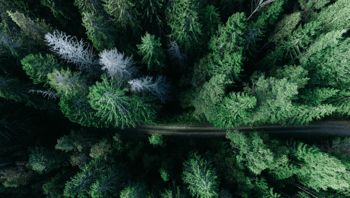 cykliskt bolag på börsen