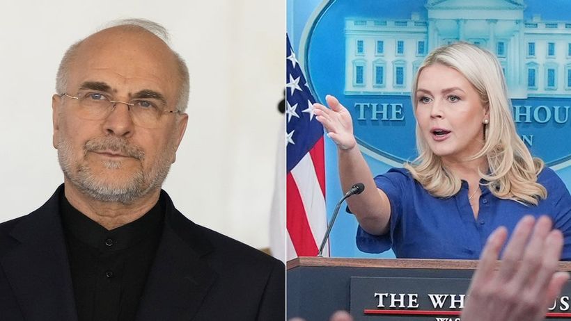 Mohammad Bagher Ghalibaf, Karoline Leavitt