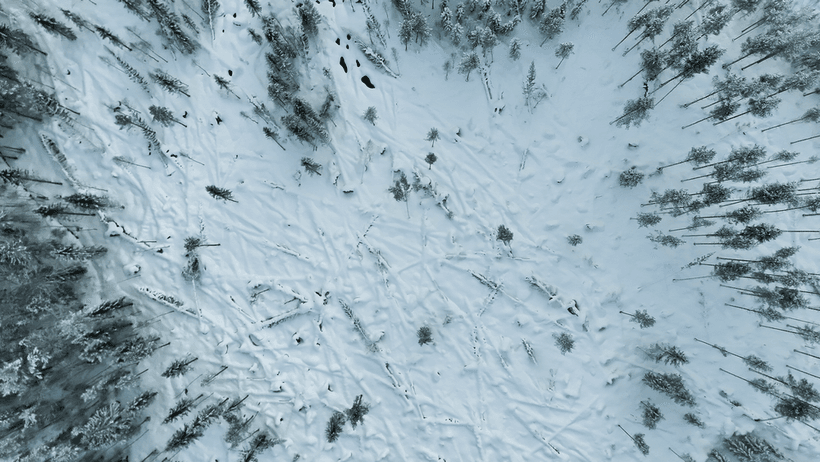 Tio års avverkningar förlorades i stormen: ”Försvann över en natt”