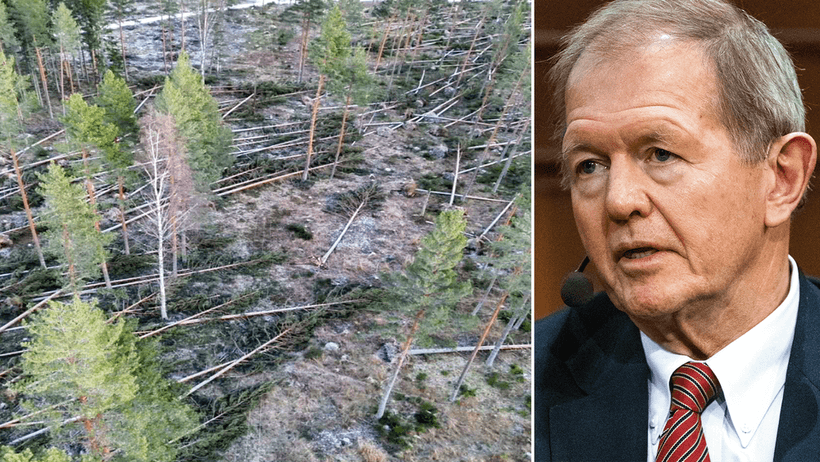 Smällen mot Wallenbergs skogsbolag: ”Går på lågfart nu”