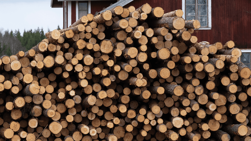 Skog virke träd timmer skogsindustrin 