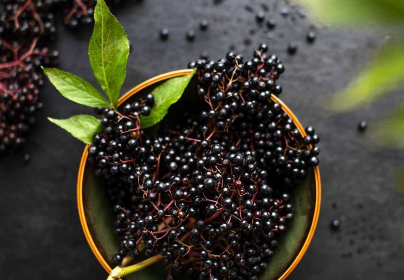 Eevia Health emission