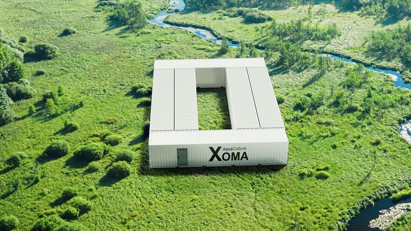 Xoma: Initial take