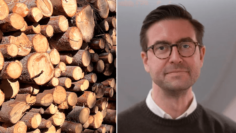  Per Hedberg, vd på Treebula 