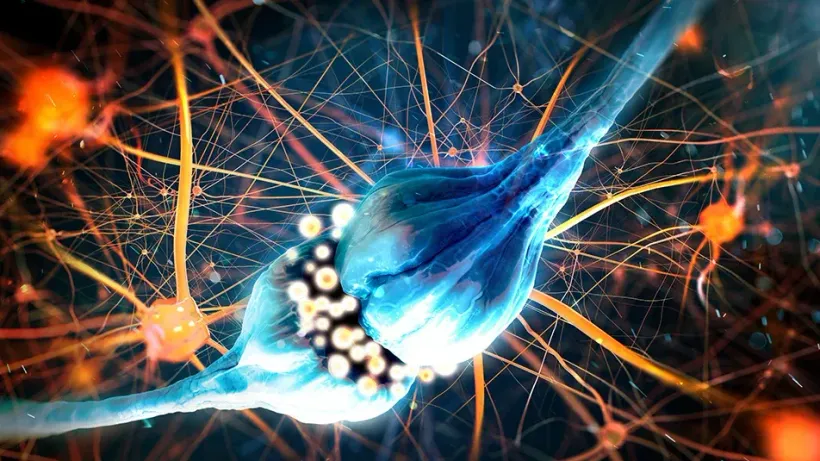 Initiator Pharma: Ska göra företrädesemission på 56 MLN KR