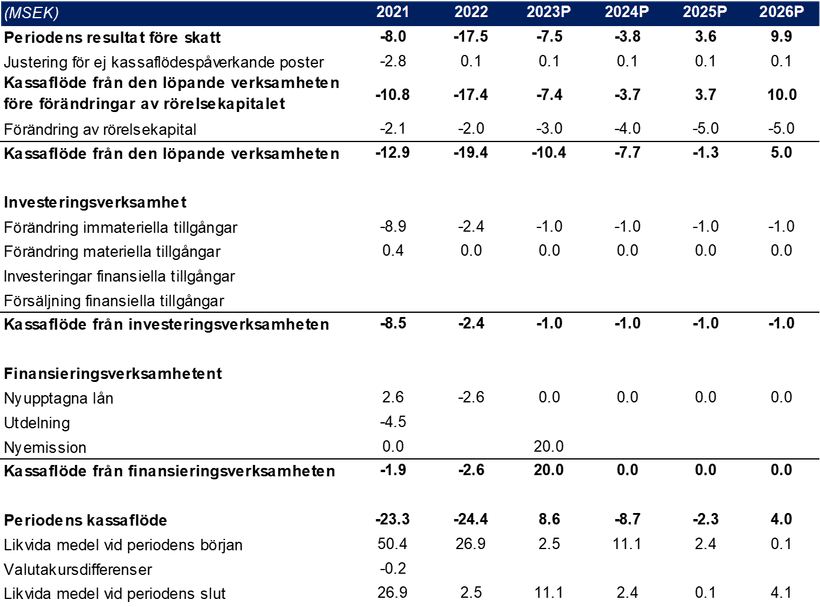 kvartalsrapport Redsense Medical