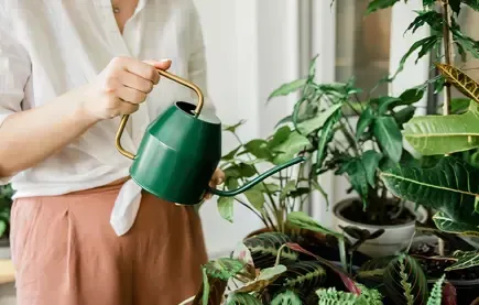 HomeMaid: Delårsrapport Januari - Mars 2025