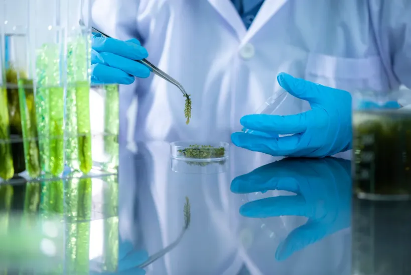 Xoma AB: Företrädesemission