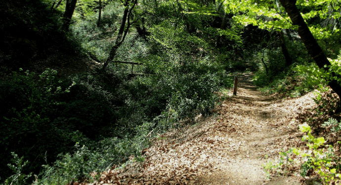 recyctec marknadsuppdatering