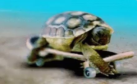 Berkshire Hathaway Bokslutsrapport 2022