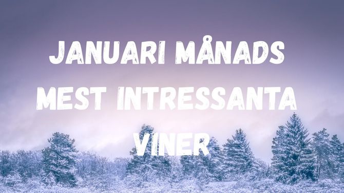 Januari månads mest intressanta viner