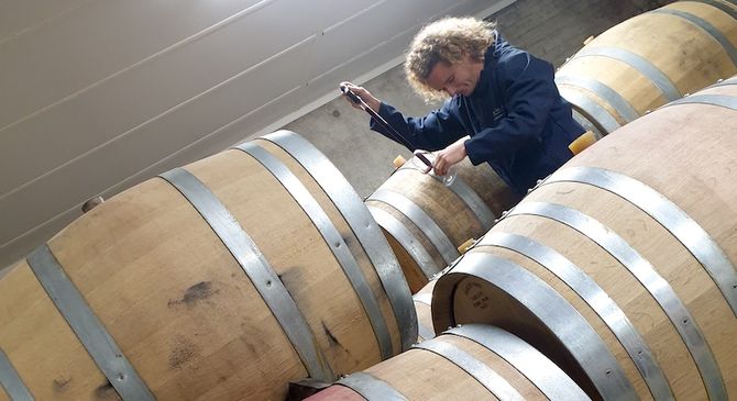 Domaine Gabin et Thierry Richoux