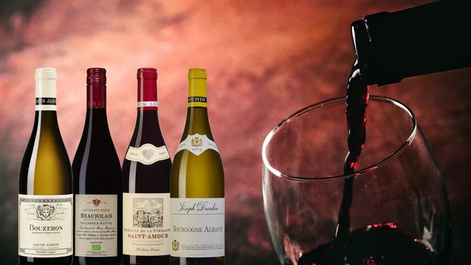 Upptäck en annan sida av Bourgogne