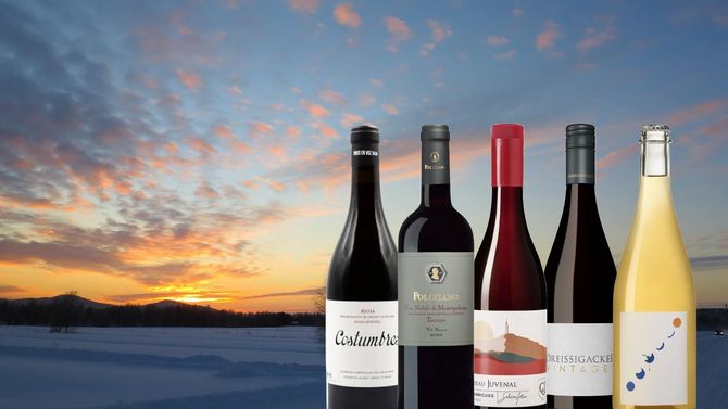 Fem viner som lyfter januarihumöret