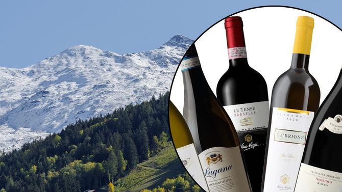 Upptäck vin från Lombardiet – tips på 6 viner du inte får missa