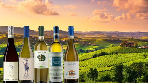 Vita viner från Piemonte – fem viner du inte får missa