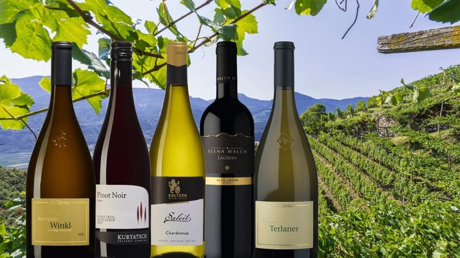 Alto Adige är här för att stanna – fem viner från den dolda pärlan