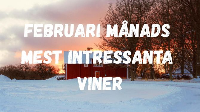 Februari månads mest intressanta viner