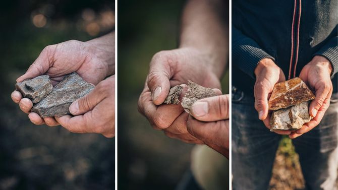 Jordmånen skiljer sig mycket åt beroende på växtplats.