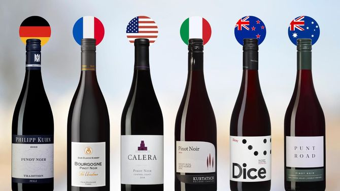 Sex charmiga pinot noir-viner från sex olika länder