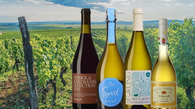Håll utkik efter vinlandet Ungern – fyra viner att testa